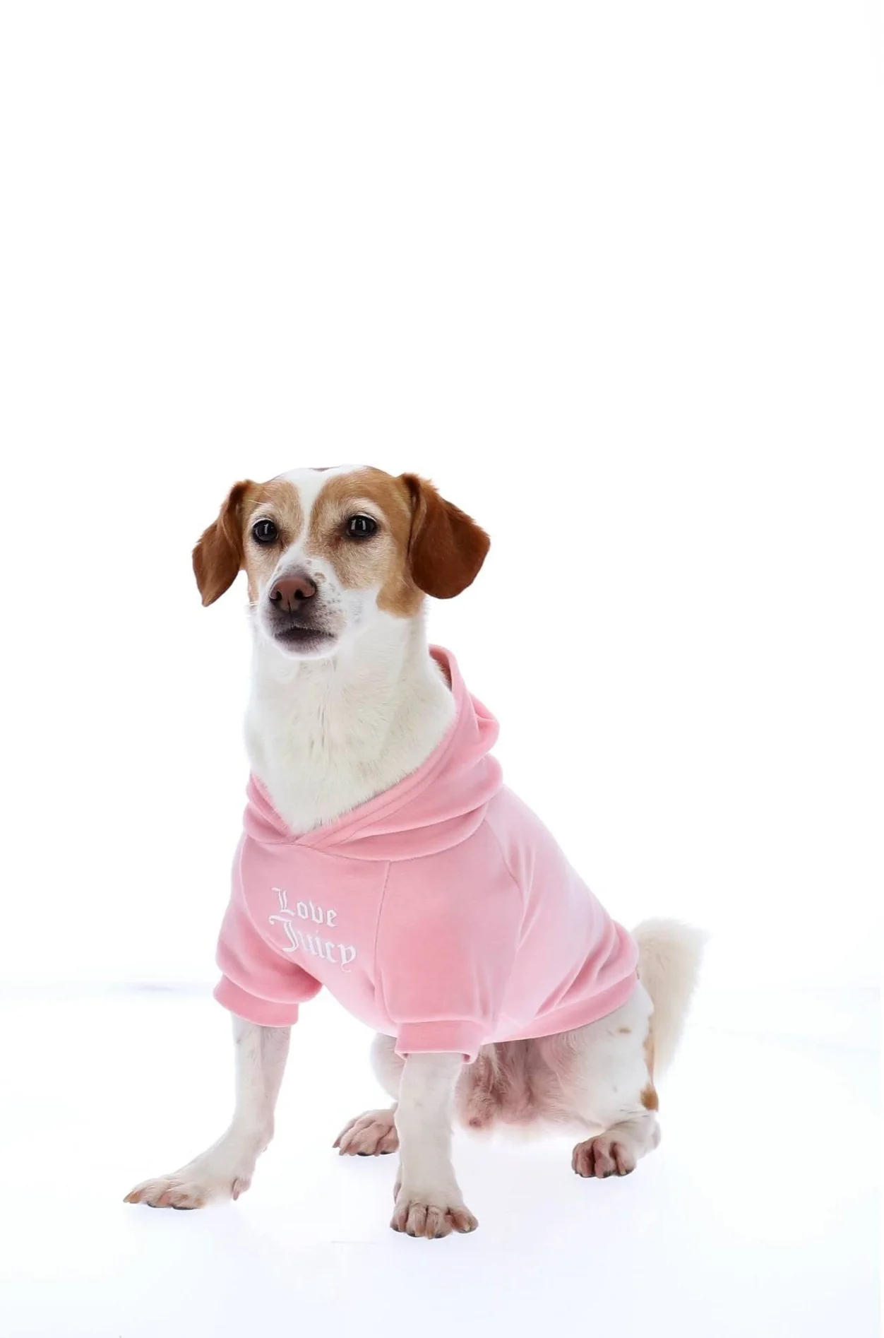 JUICY PINK SLOGAN PRINTED PET HOODIE - Image 2