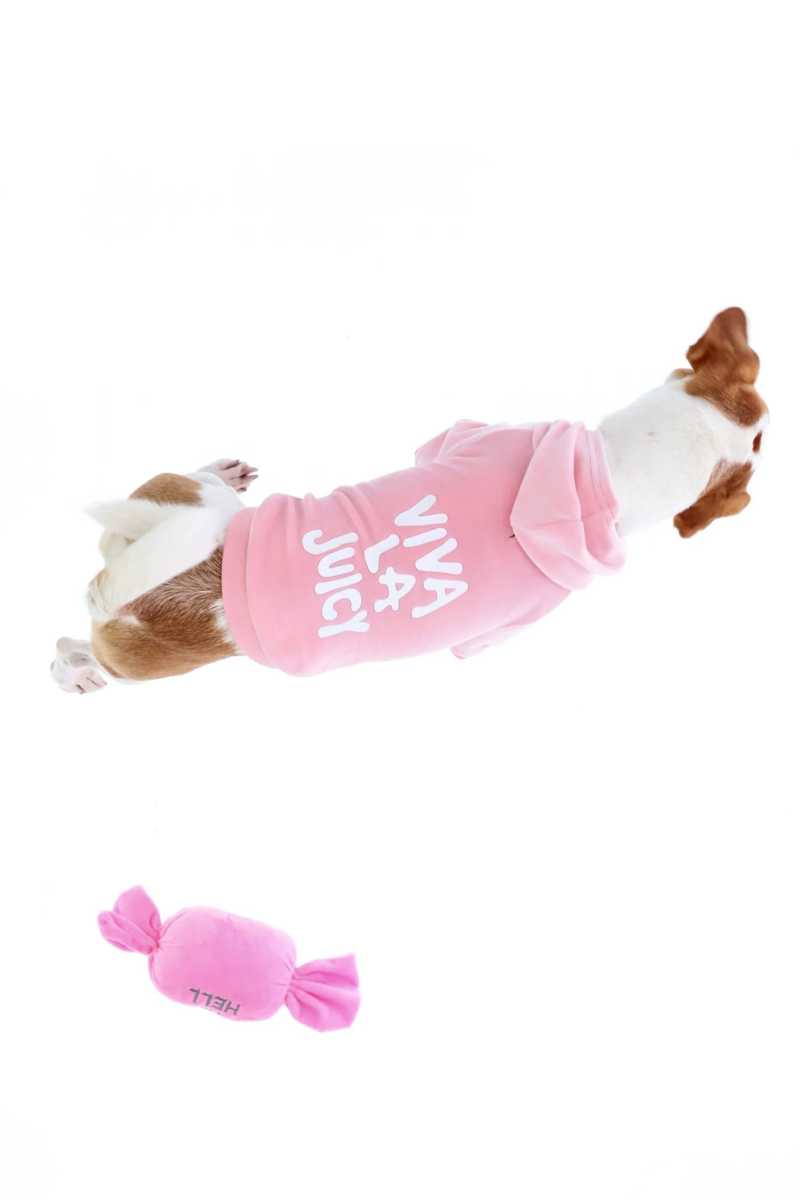 JUICY PINK SLOGAN PRINTED PET HOODIE - Image 3