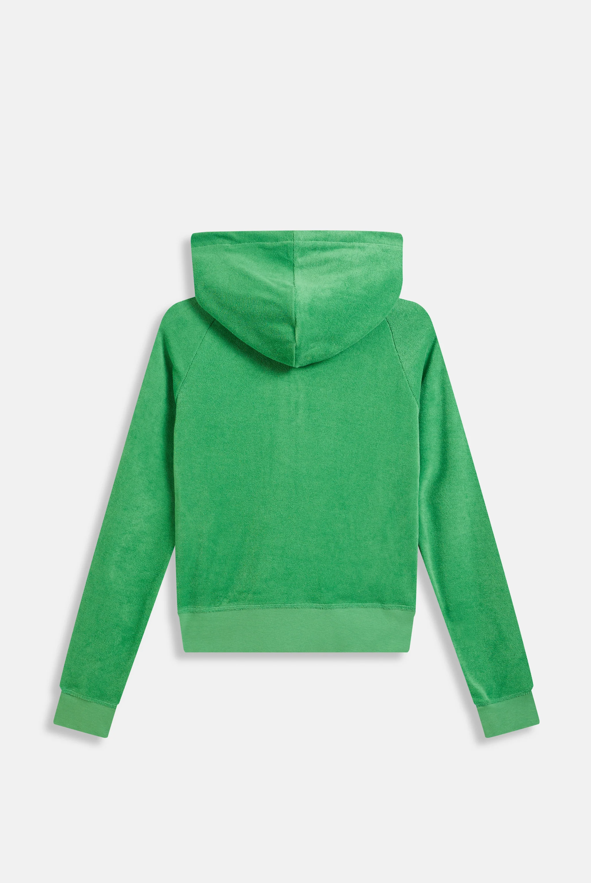 PEPPERMINT APPLIQUE TERRY SHRUNKEN HOODIE - Image 6